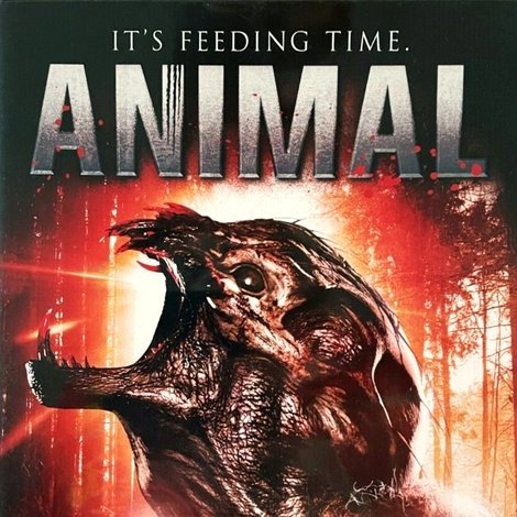 Animal