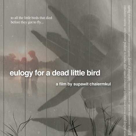 Eulogy for a Dead Little Bird
