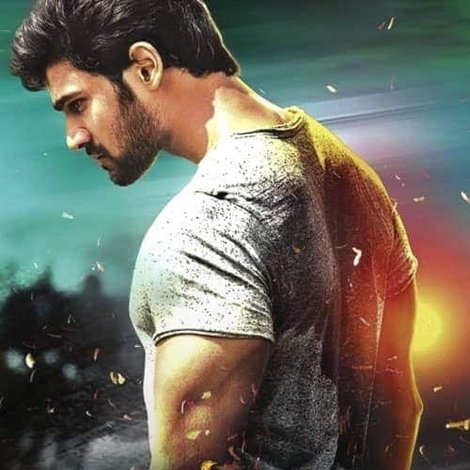 జయ జానకి నాయక