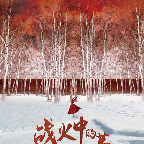 战火中的芭蕾