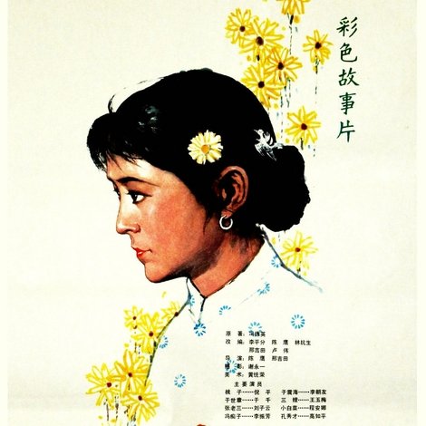 山菊花
