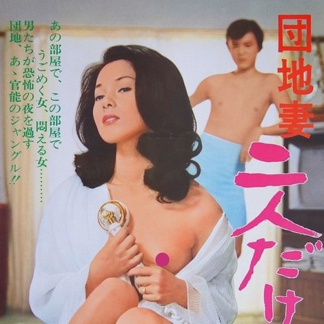 団地妻 二人だけの夜