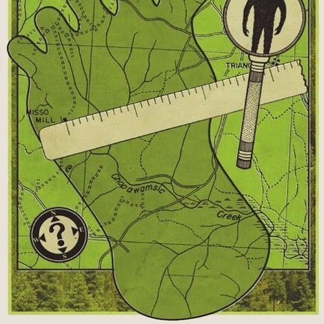 In Search of Bigfoot