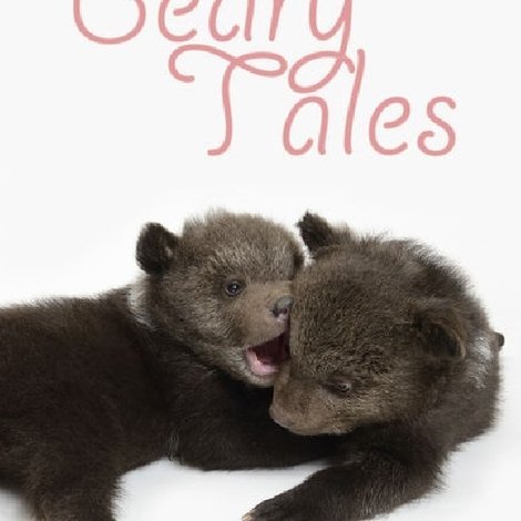 Beary Tales