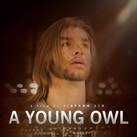 A Young Owl