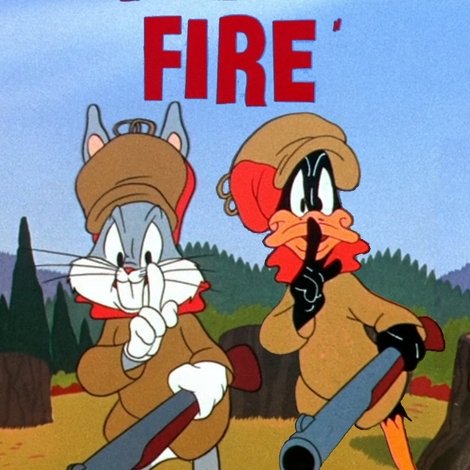 Rabbit Fire