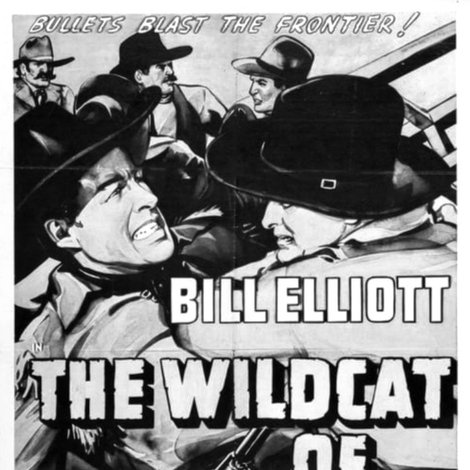 The Wildcat of Tucson