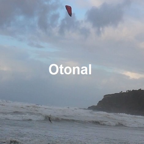 Otonal