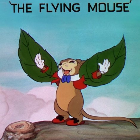 The Flying Mouse