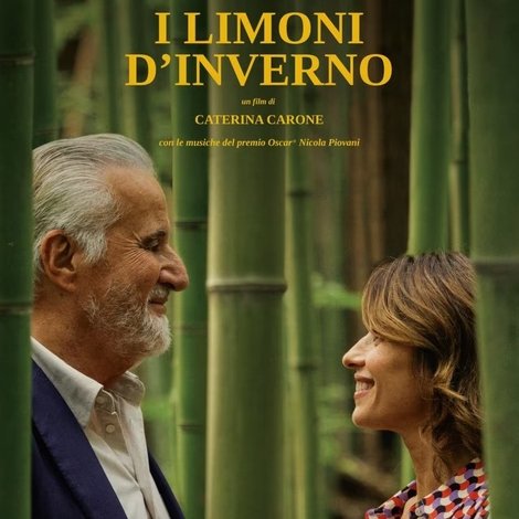 I limoni d'inverno