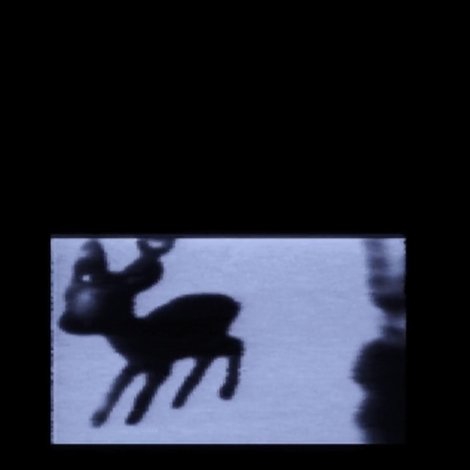 Where’s Bambi?