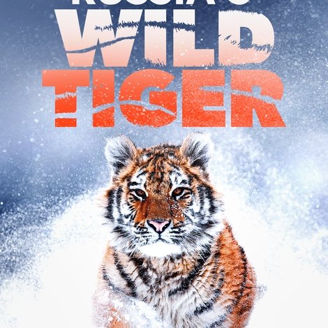 Russia's Wild Tiger