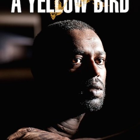 A Yellow Bird