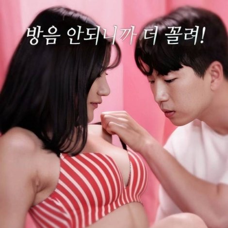 하숙생 : 위험한 동거