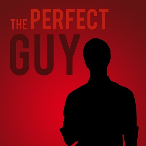 The Perfect Guy