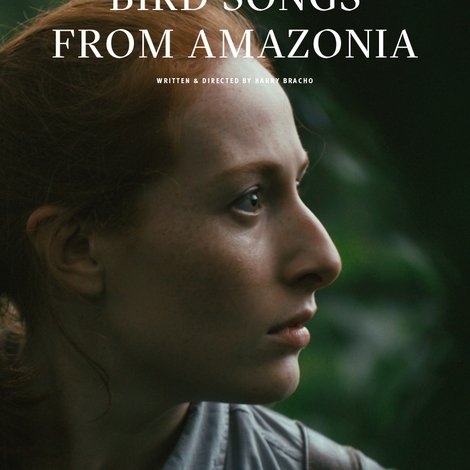 Bird Songs from Amazonia