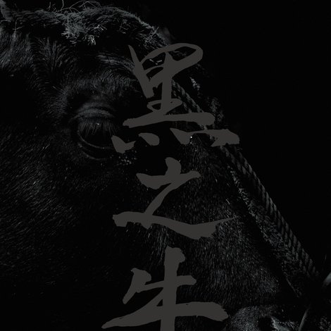 黒の牛