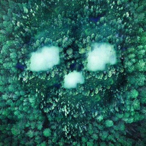 Black Fields