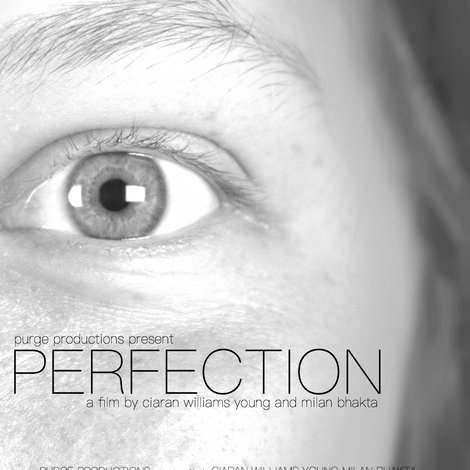 PERFECTION