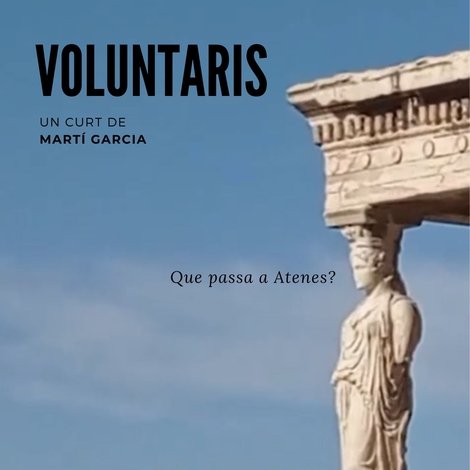 Voluntaris