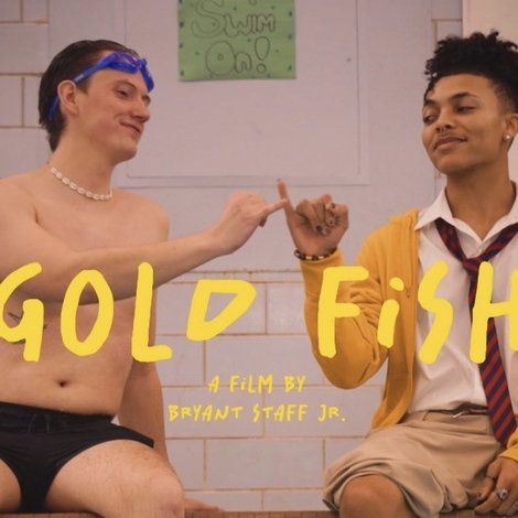 Gold Fish