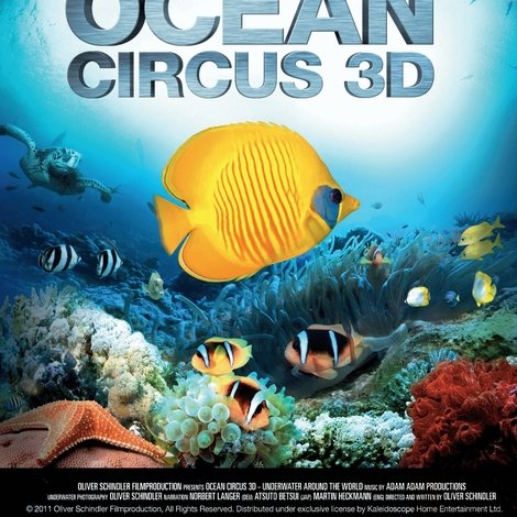 Ocean Circus 3D - Underwater Around the World