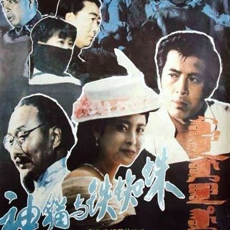 神猫与铁蜘蛛