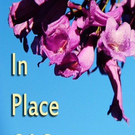 In Place of Grace
