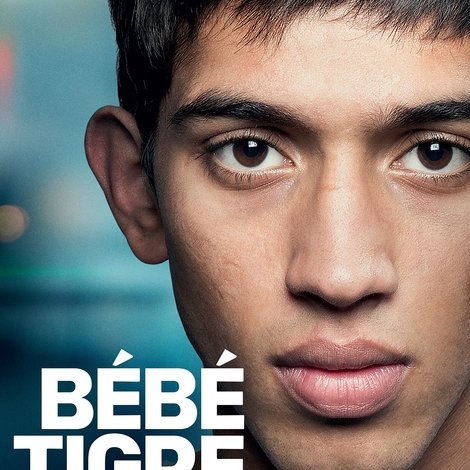 Bébé Tigre