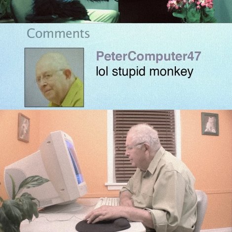 Peter's Computer - Gorilla Video