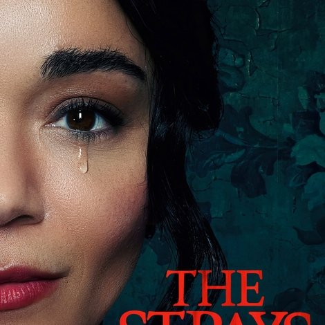 The Strays