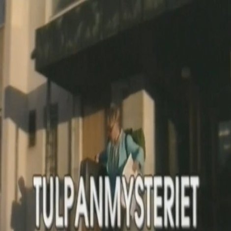 Tulpanmysteriet