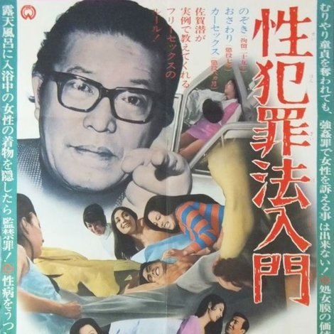 性犯罪法入門