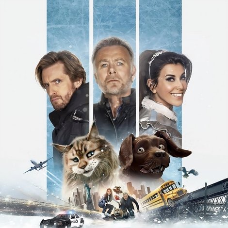 Chien et Chat
