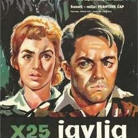 X-25 javlja