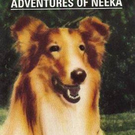 Lassie: The Adventures of Neeka