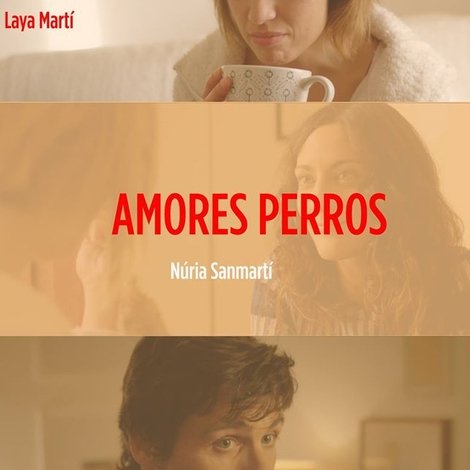 Amores perros