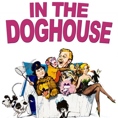 In the Doghouse