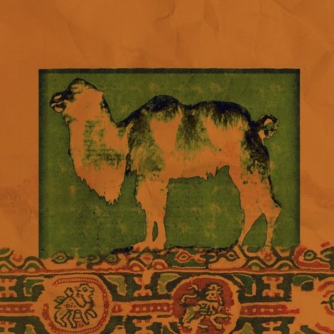 Topsy: The Last American Camel