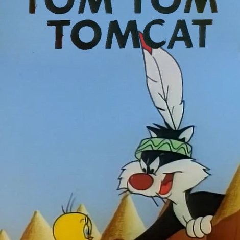 Tom Tom Tomcat