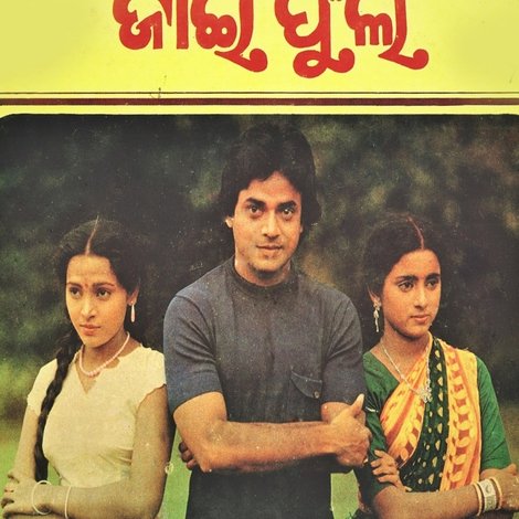 ଜାଇ ଫୁଲ