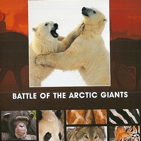 Battle of the Arctic Giants