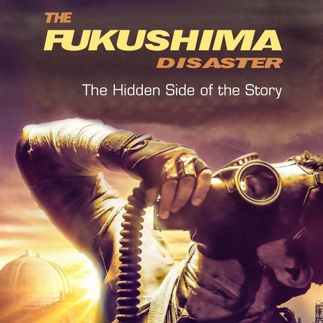 The Fukushima Disaster: The Hidden Side of The Story