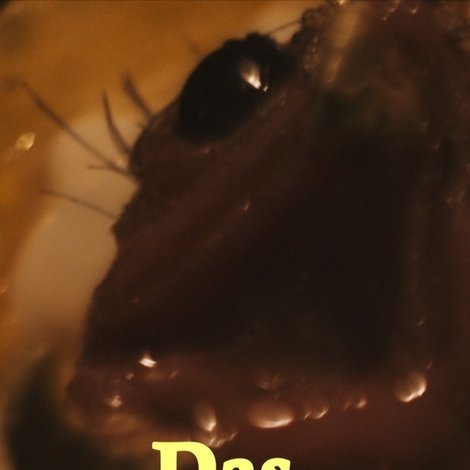 Das Dottermandl