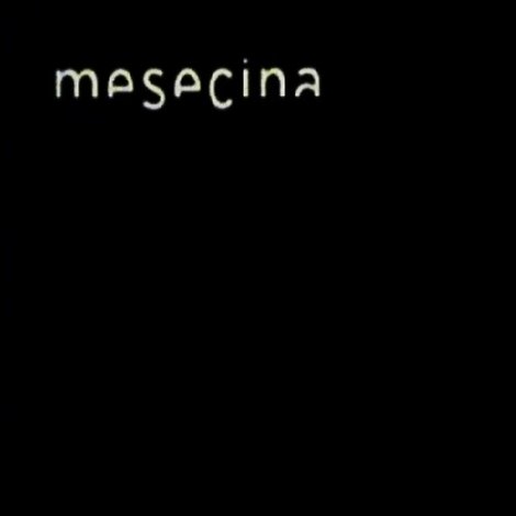 Mesecina