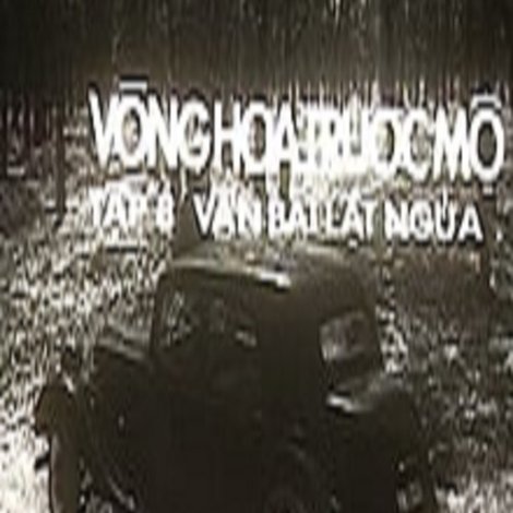 Ván bài lật ngửa 8: Vòng hoa trước mộ