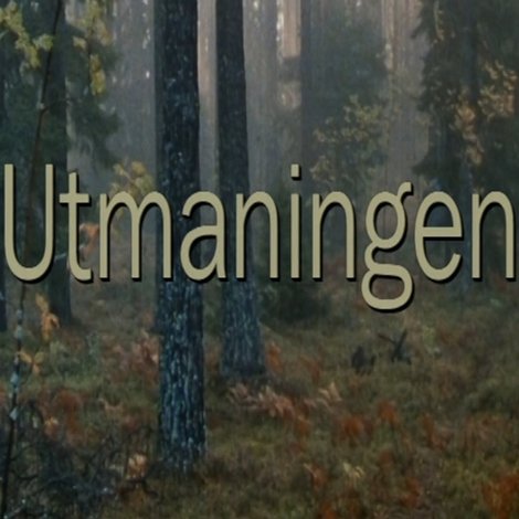 Utmaningen