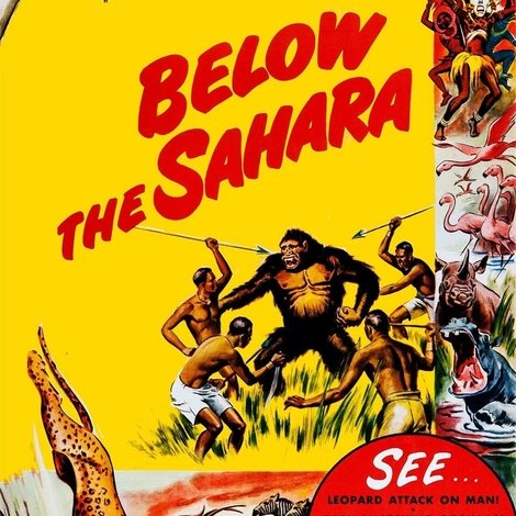 Below the Sahara