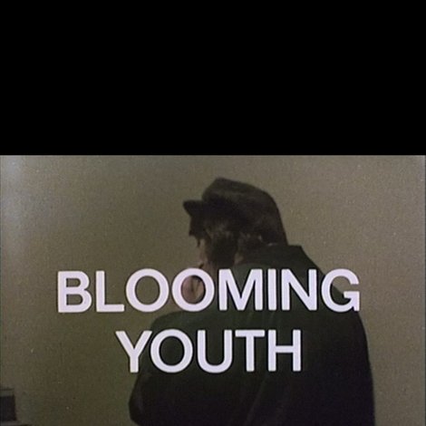 Blooming Youth