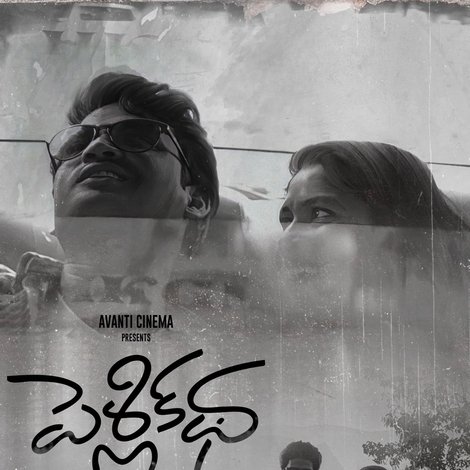 పెళ్లి కధ